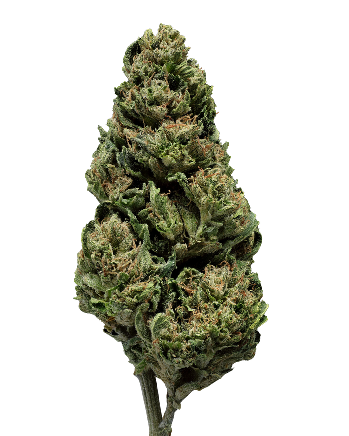 OG 18