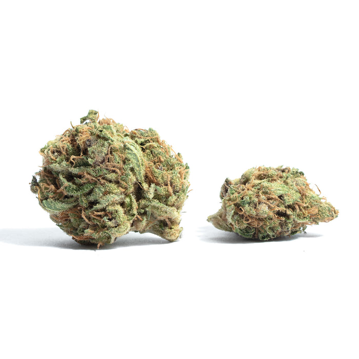 Plushberry cannabis strain