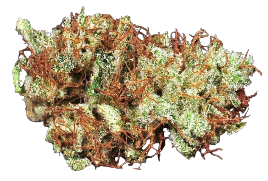 Pinot Green