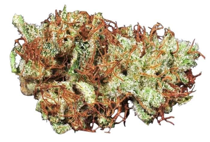 Pinot Green