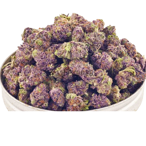 Purple Alien OG