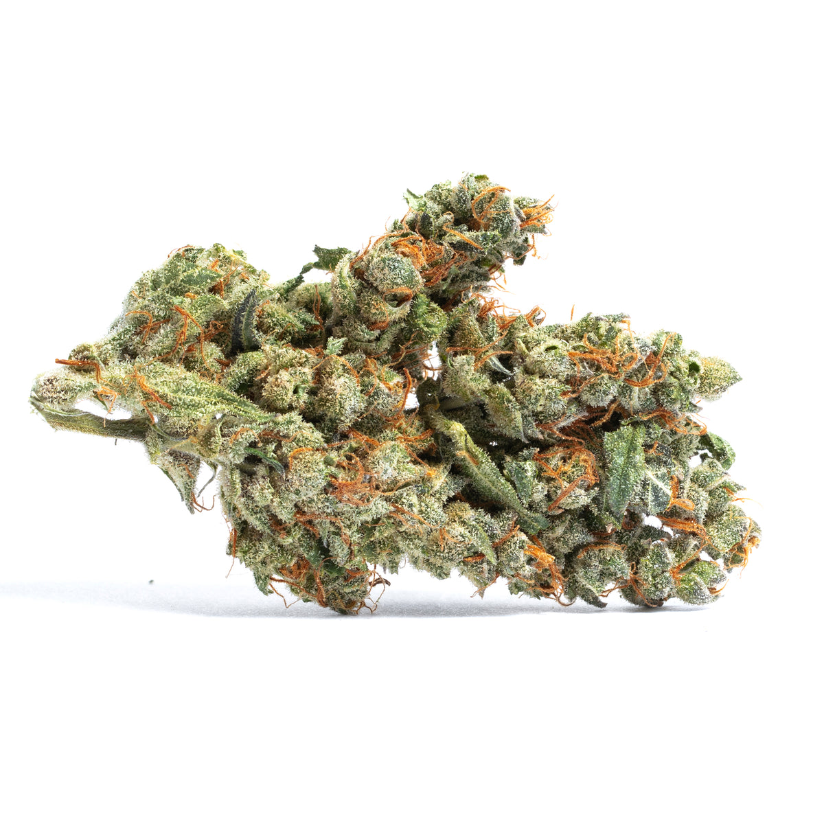 Blueberry Cookies cannabis strain