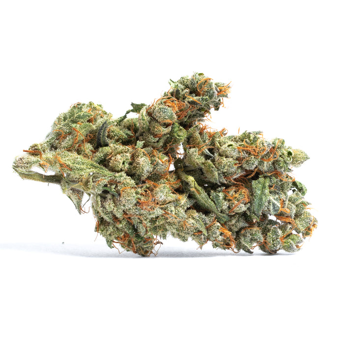 Blueberry Cookies cannabis strain