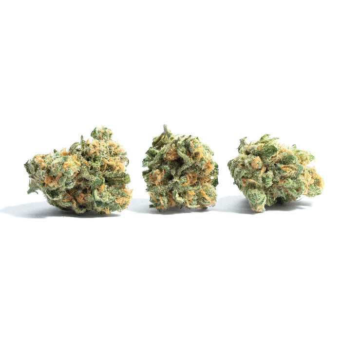 Snoops Dream cannabis strain