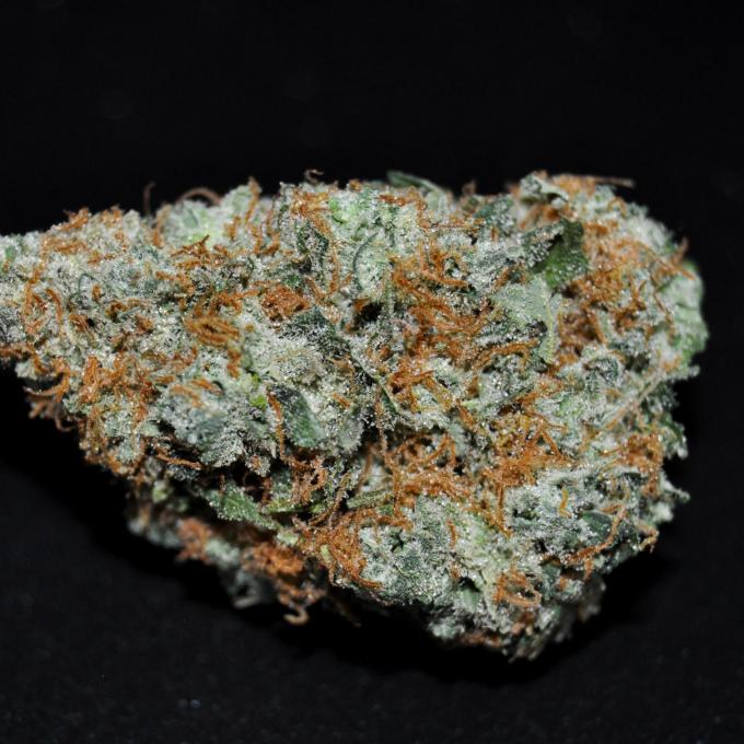 Sage and Sour