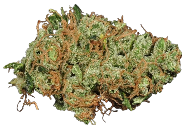 Sour Diesel