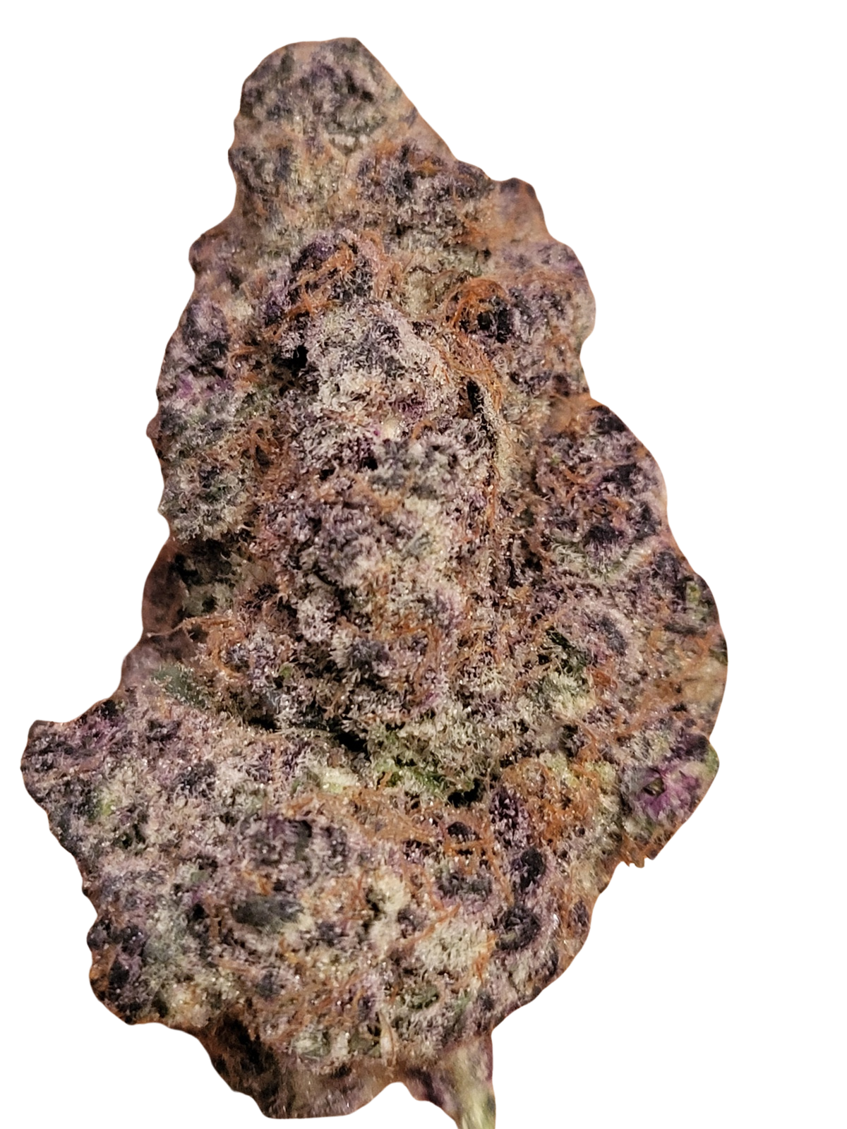 Super Boof