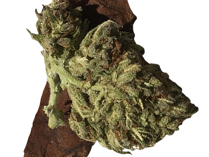 Twisted Citrus
