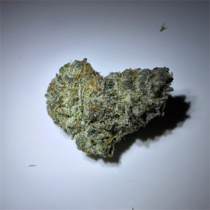 White Buffalo