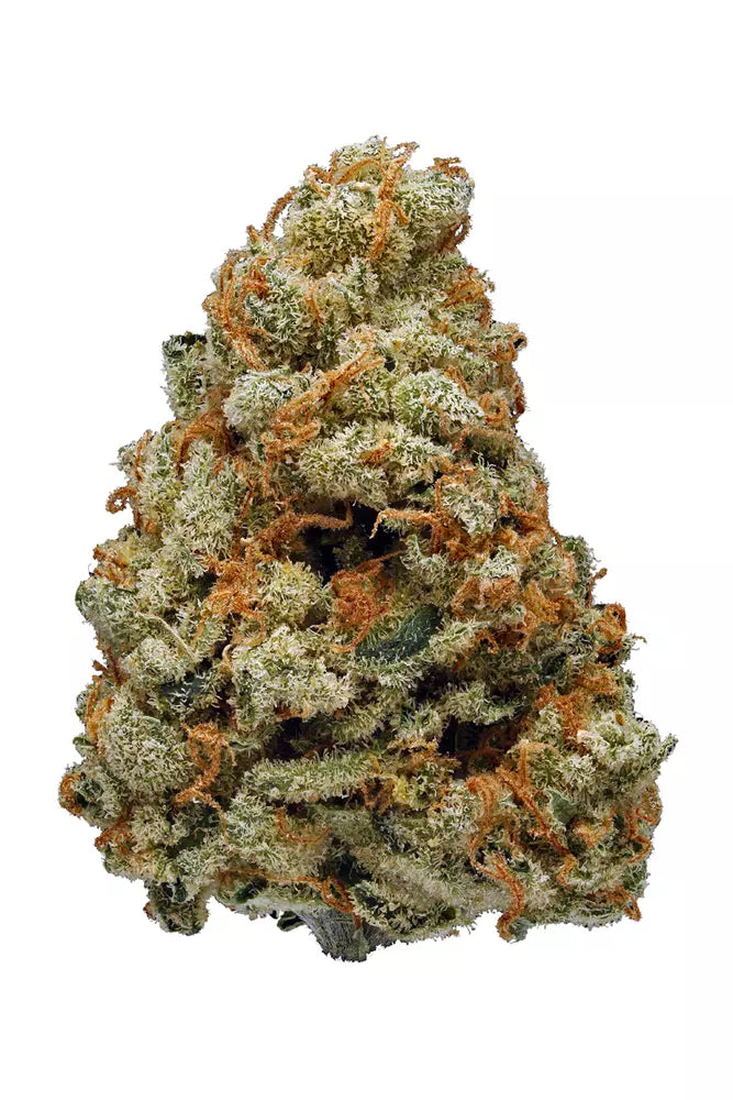 White Haze
