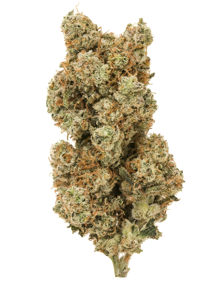 White Widow