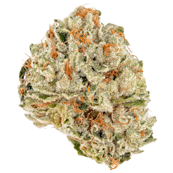 Sour Kush cannabis strain