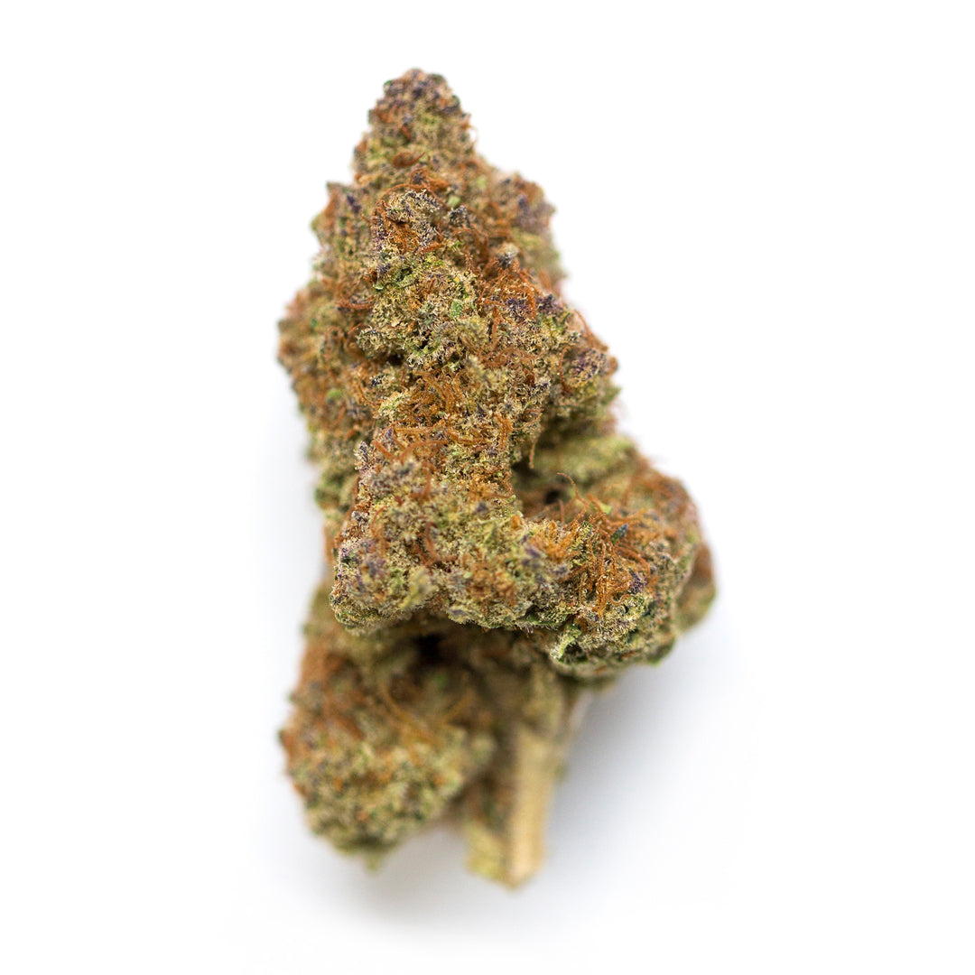 Black Cherry Pie cannabis strain