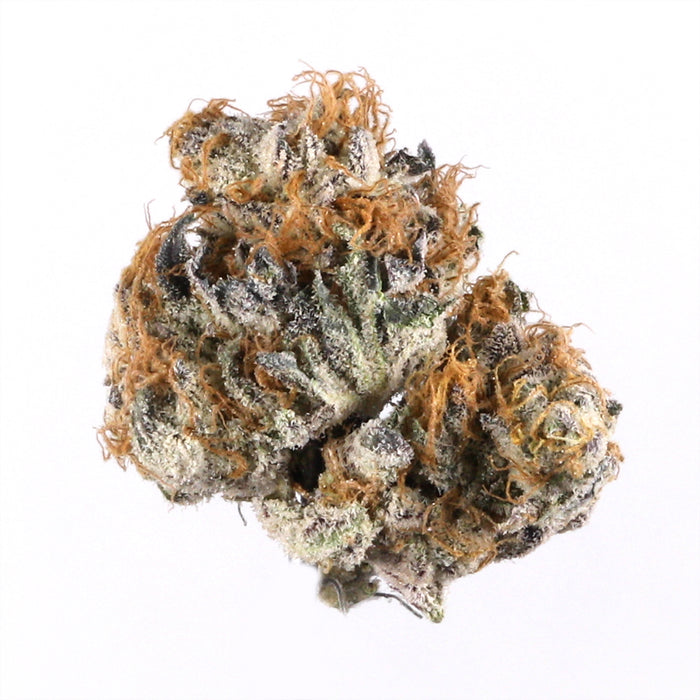 Blueberry cannabis strain