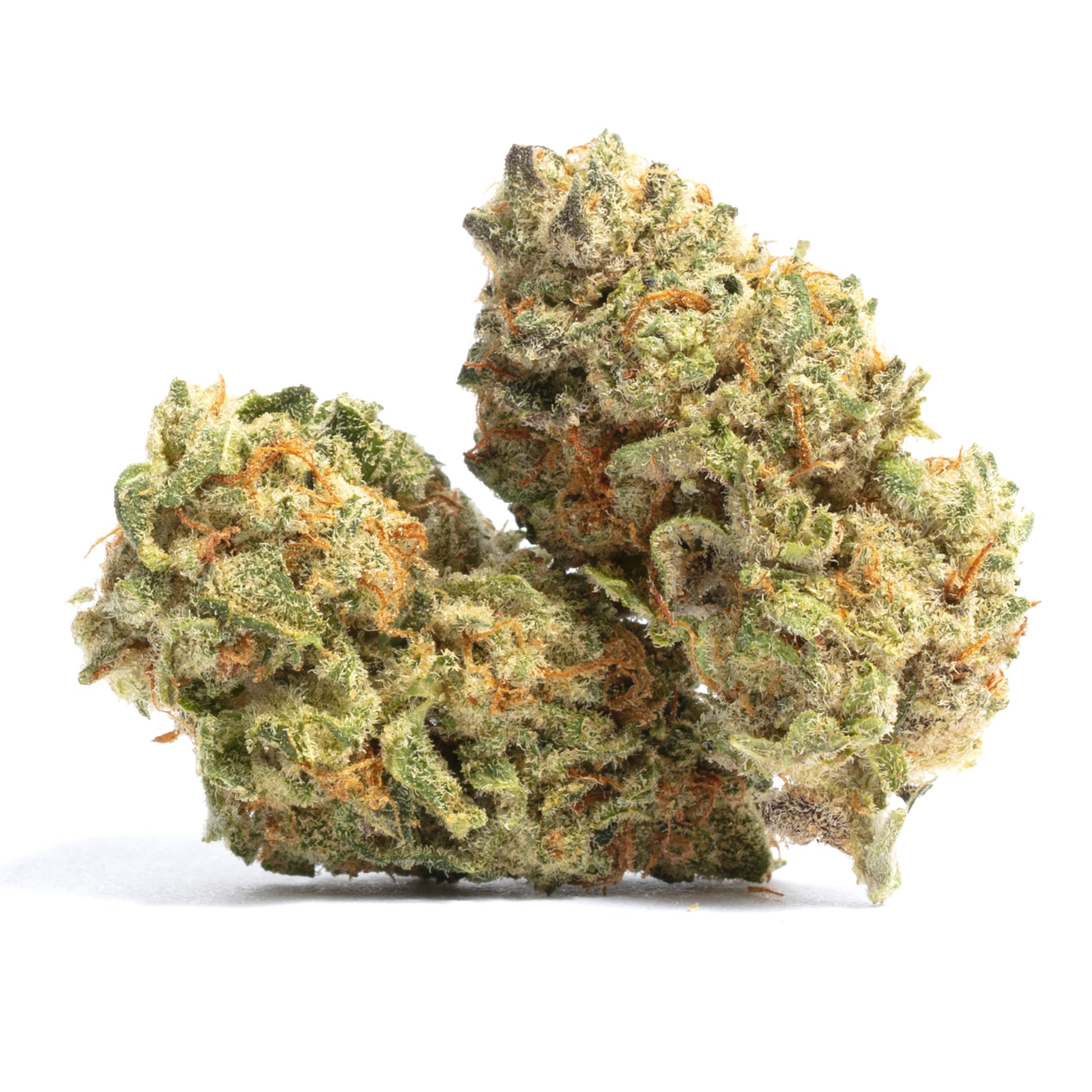 Super Skunk cannabis strain