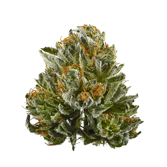Bubba Kush cannabis strain