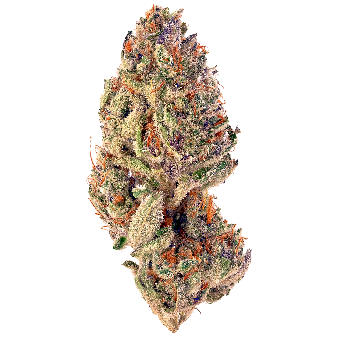 Tropicana Cookies cannabis strain