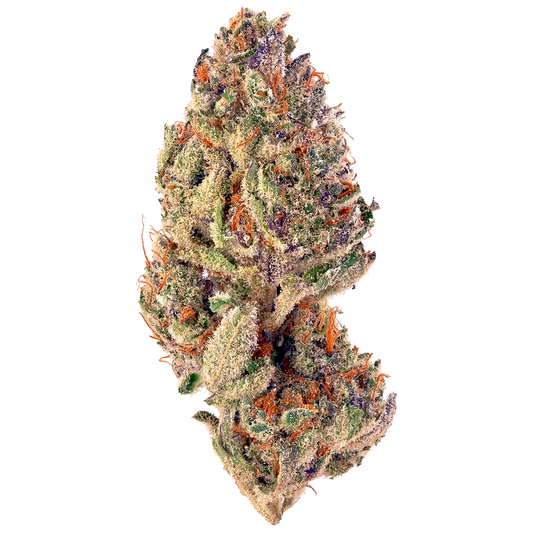 Tropicana Cookies cannabis strain