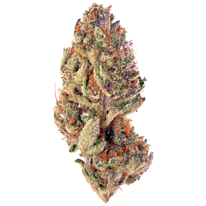 Tropicana Cookies cannabis strain