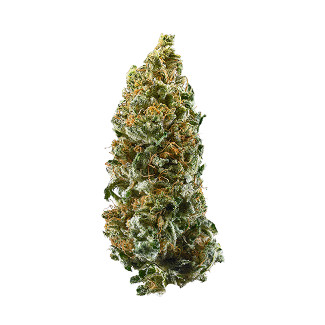 Cannatonic cannabis strain