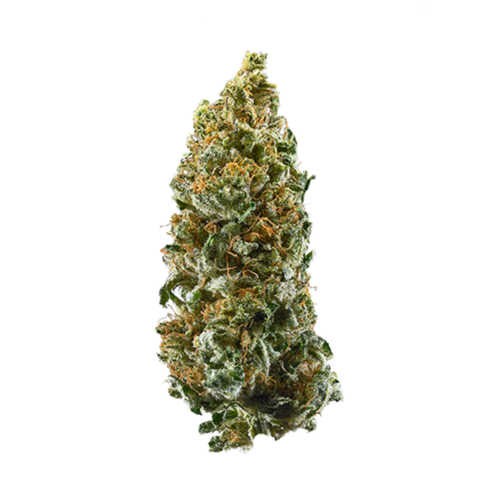 Cannatonic cannabis strain