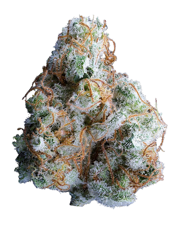 Crystal Coma