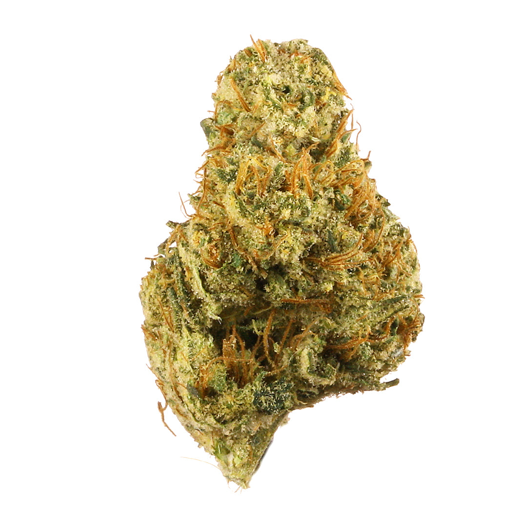 Dutch Treat cannabis strain