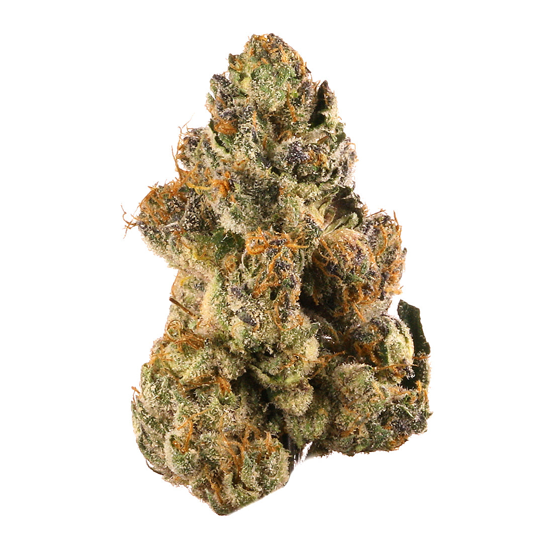 Gelato cannabis strain