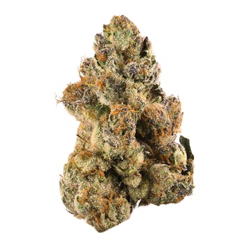 Larry Bird cannabis strain