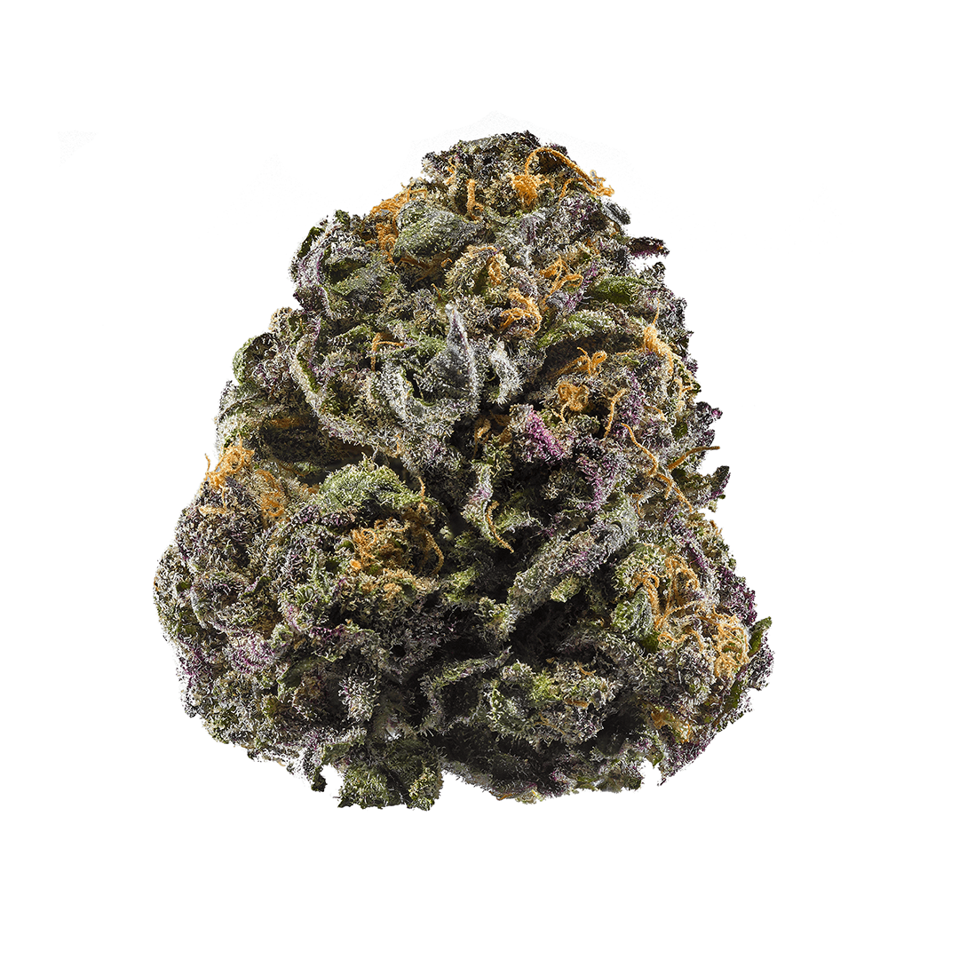 Granddaddy Purple cannabis strain