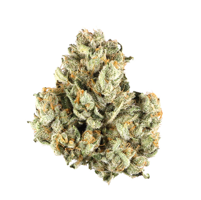 Green Queen cannabis strain