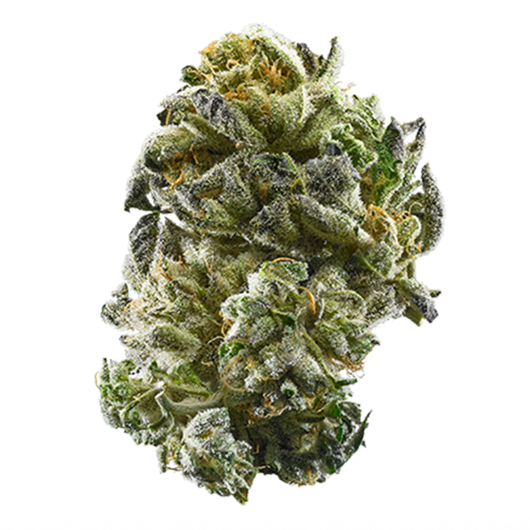 GSC cannabis strain