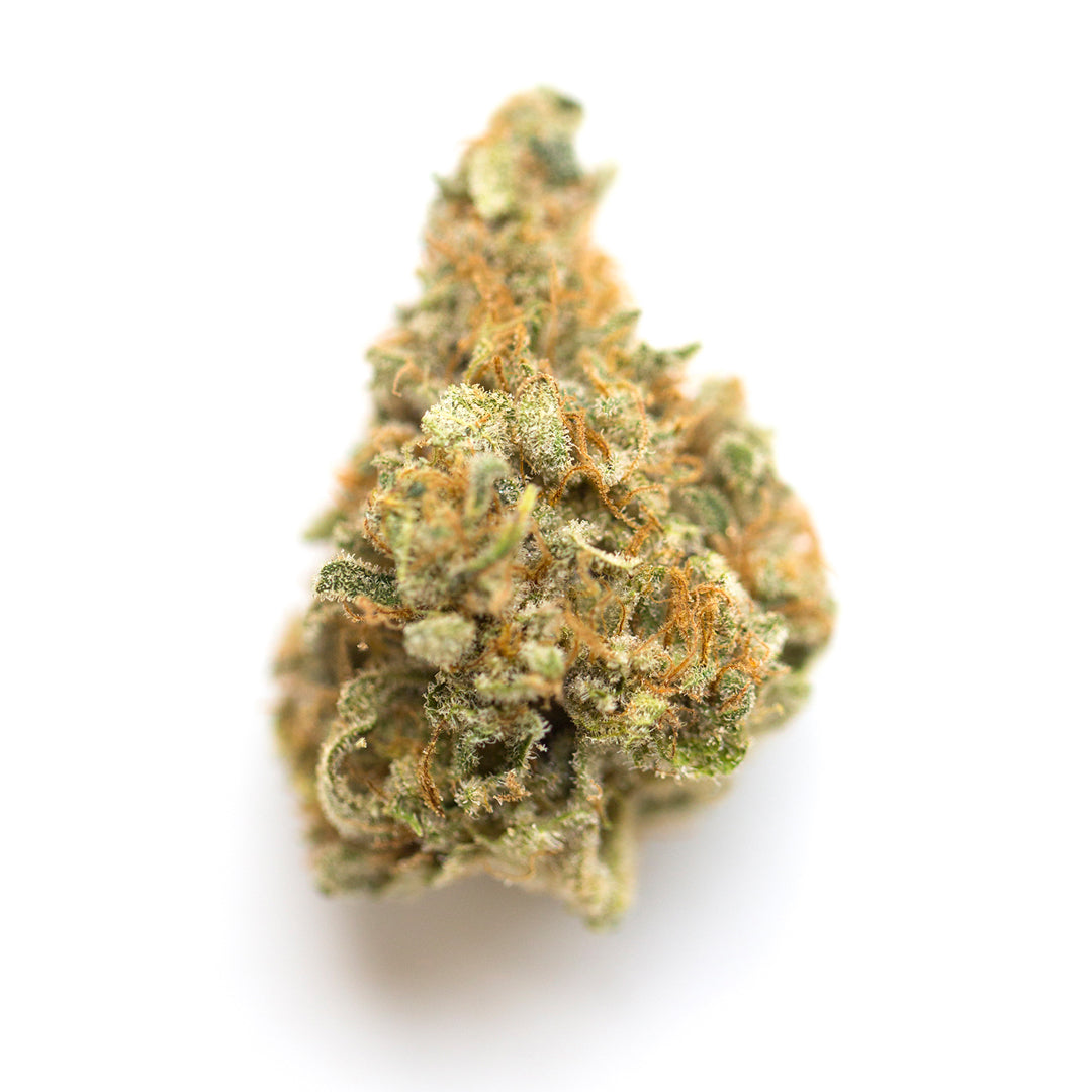 Mango Kush cannabis strain