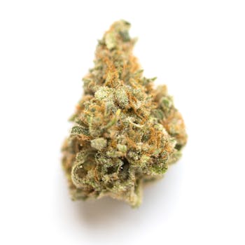 Mango cannabis strain