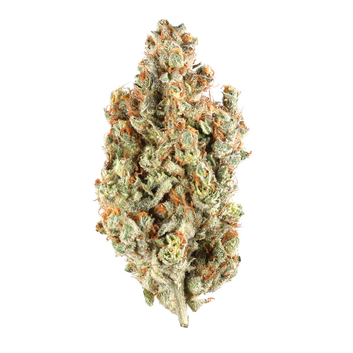 Orange Skunk cannabis strain