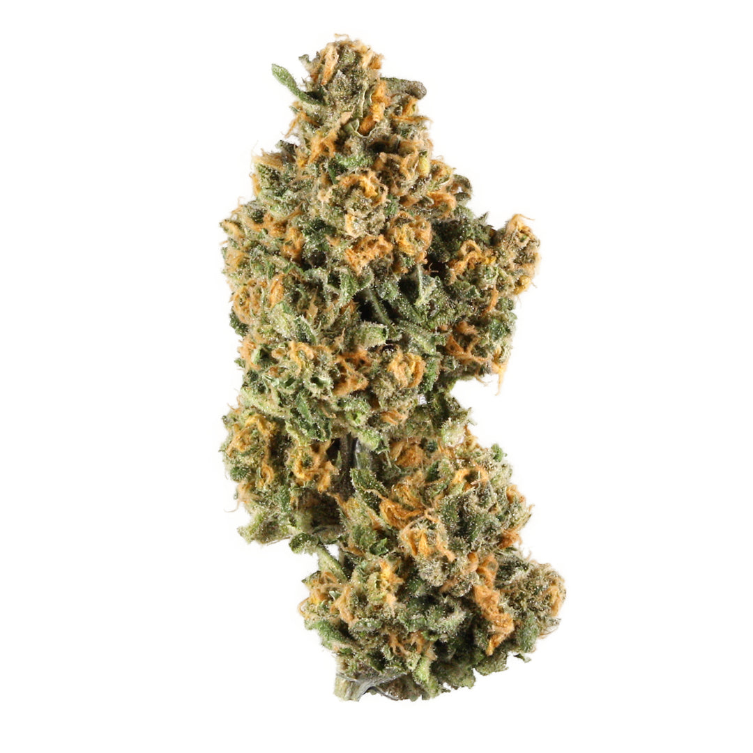 Pink Champagne cannabis strain