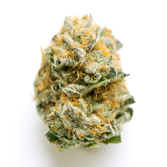 Primus cannabis strain