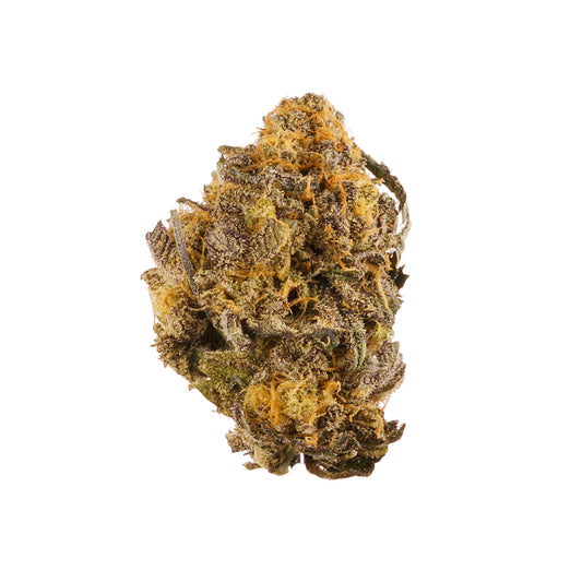 Purple Kush cannabis strain