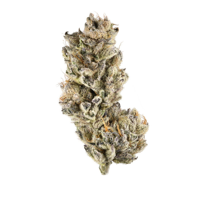 Purple Punch cannabis strain