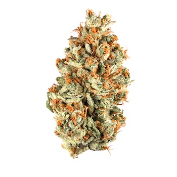 Larry OG cannabis strain