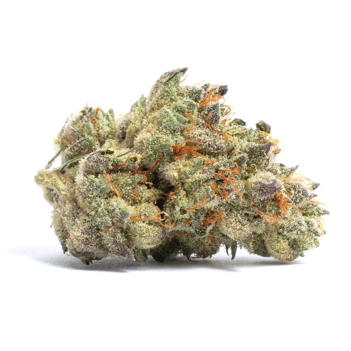 Purple Haze cannabis strain