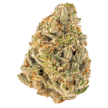 Snowman cannabis strain