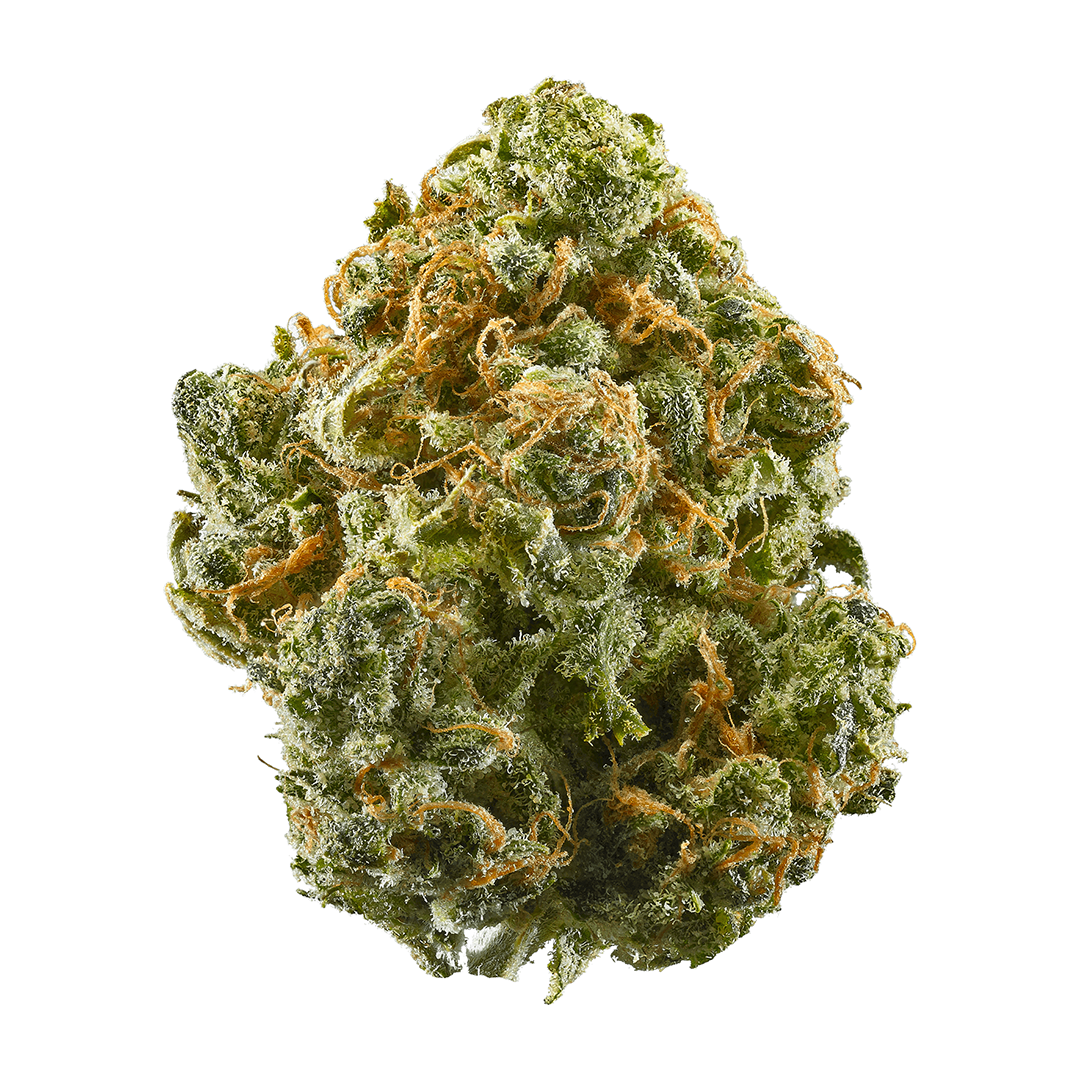 ZaZa cannabis strain