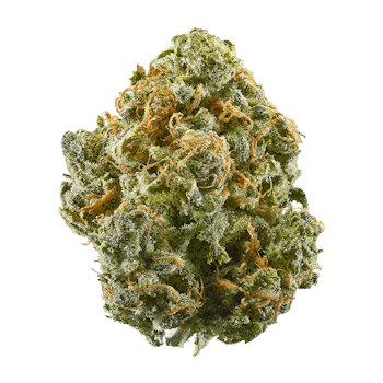 Guava cannabis strain