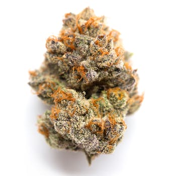 Vanilla Frosting cannabis strain