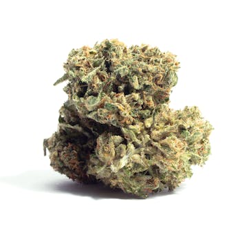 Alien Dawg cannabis strain