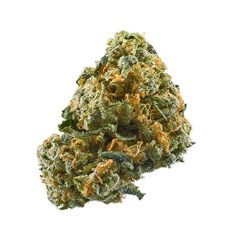 White Russian cannabis strain