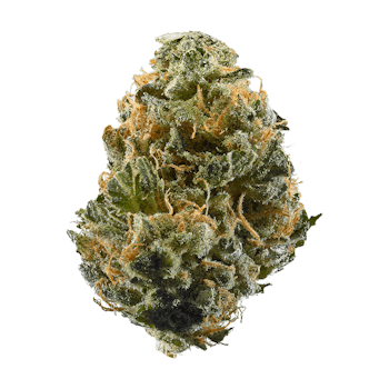 Space Cake cannabis strain