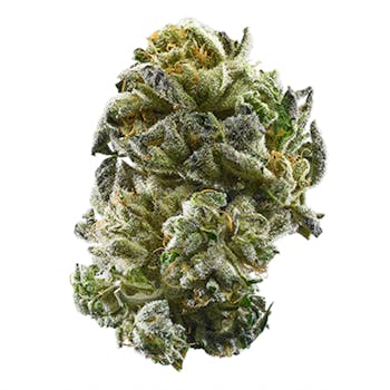 Strawberry Cheesecake cannabis strain