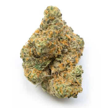 Moby Dick cannabis strain